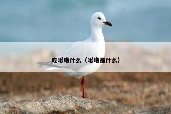 吃啾噜什么（啾噜是什么）