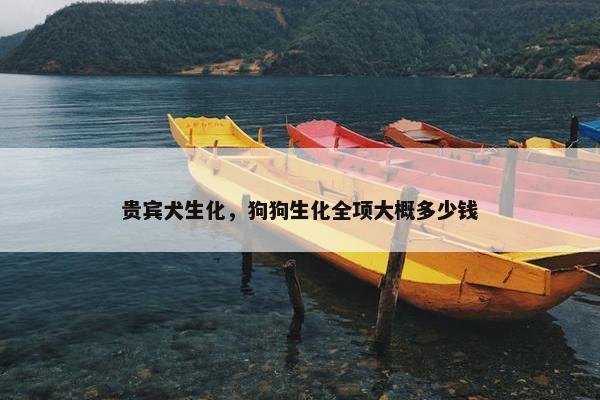 贵宾犬生化，狗狗生化全项大概多少钱