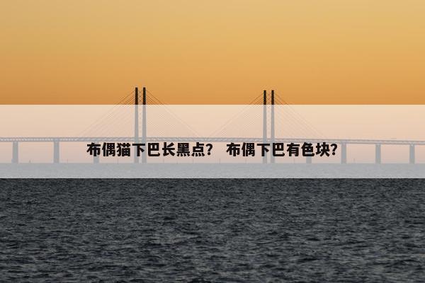 布偶猫下巴长黑点？ 布偶下巴有色块？