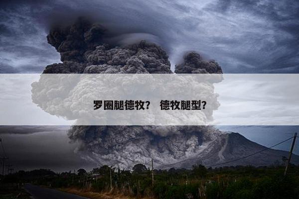 罗圈腿德牧？ 德牧腿型？