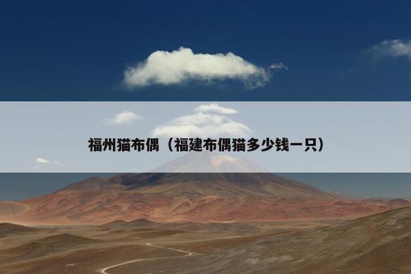 福州猫布偶（福建布偶猫多少钱一只）