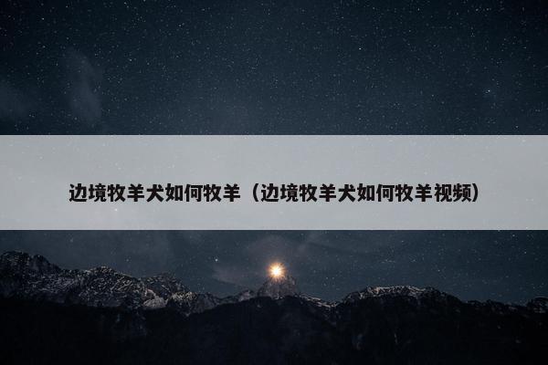 边境牧羊犬如何牧羊（边境牧羊犬如何牧羊视频）
