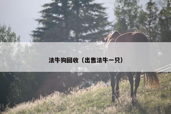 法牛狗回收（出售法牛一只）