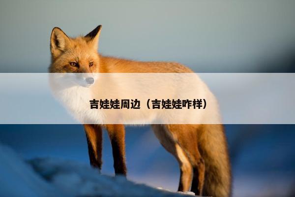 吉娃娃周边（吉娃娃咋样）
