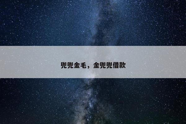 兜兜金毛，金兜兜借款