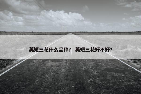 英短三花什么品种？ 英短三花好不好？