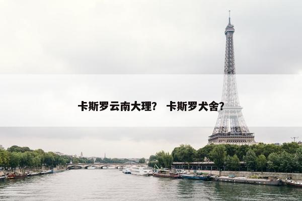 卡斯罗云南大理？ 卡斯罗犬舍？