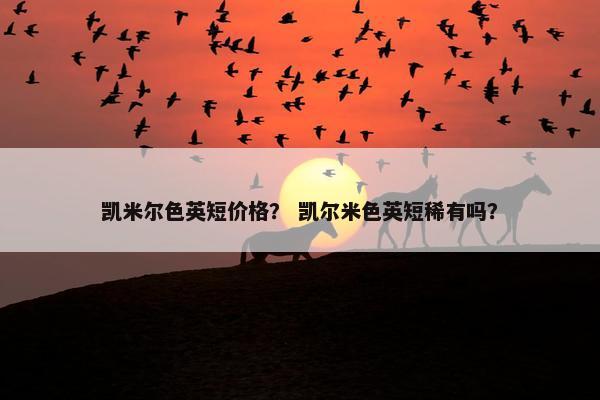 凯米尔色英短价格？ 凯尔米色英短稀有吗？