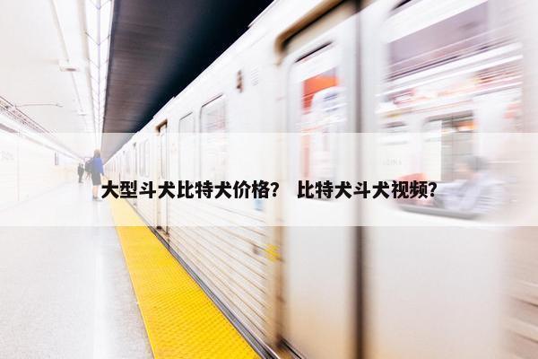 大型斗犬比特犬价格？ 比特犬斗犬视频？