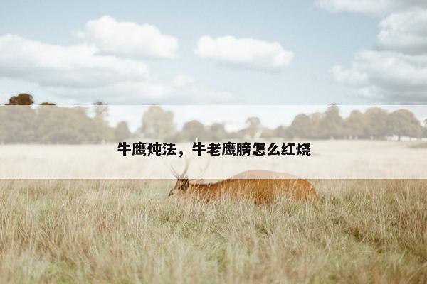 牛鹰炖法，牛老鹰膀怎么红烧