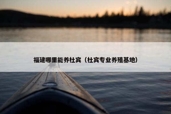 福建哪里能养杜宾（杜宾专业养殖基地）