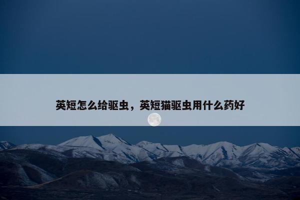 英短怎么给驱虫，英短猫驱虫用什么药好