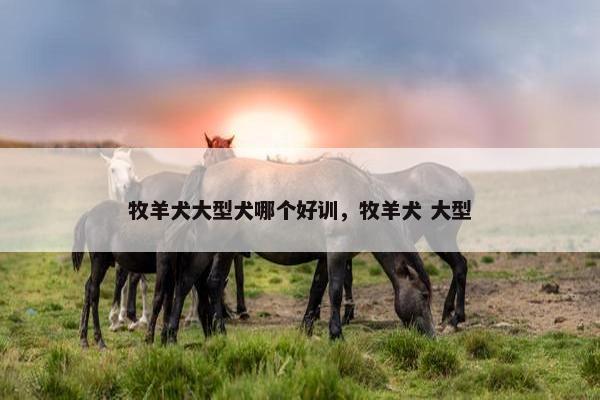 牧羊犬大型犬哪个好训，牧羊犬 大型
