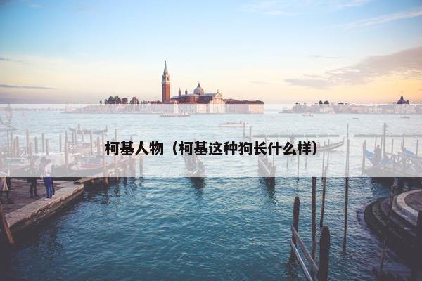 柯基人物（柯基这种狗长什么样）