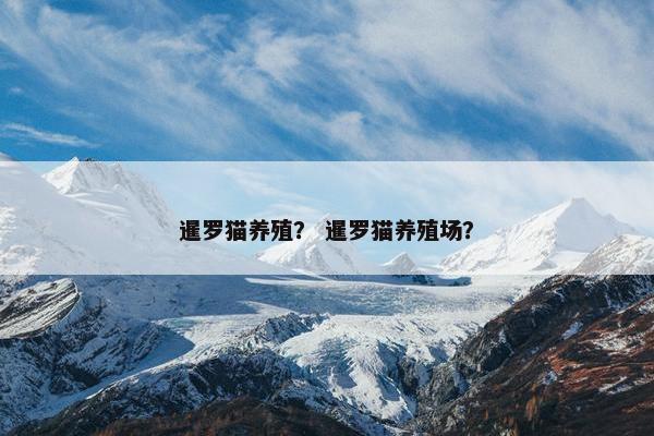 暹罗猫养殖？ 暹罗猫养殖场？