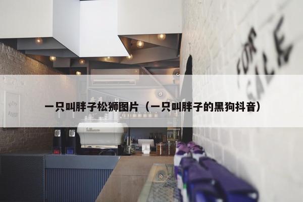 一只叫胖子松狮图片（一只叫胖子的黑狗抖音）