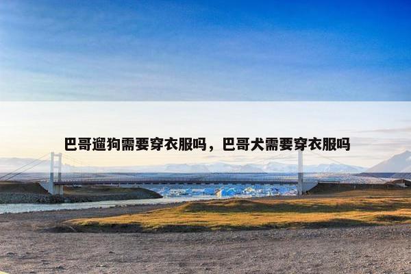 巴哥遛狗需要穿衣服吗，巴哥犬需要穿衣服吗