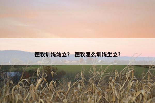 德牧训练站立？ 德牧怎么训练坐立？