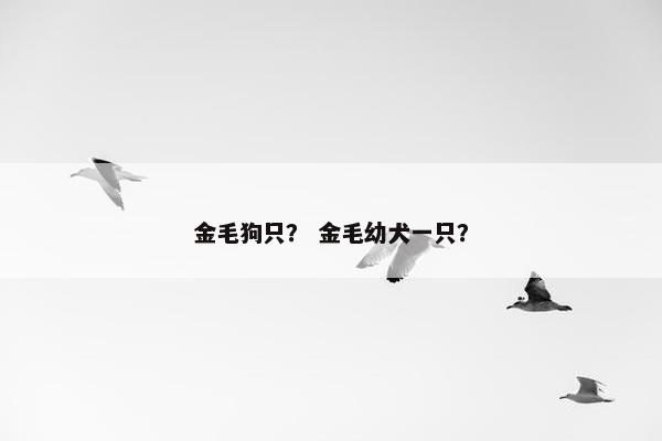 金毛狗只？ 金毛幼犬一只？