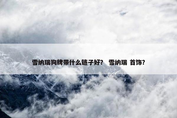 雪纳瑞狗牌带什么链子好？ 雪纳瑞 首饰？