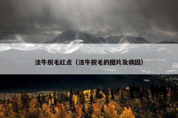 法牛脱毛红点（法牛脱毛的图片及病因）