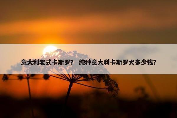 意大利老式卡斯罗？ 纯种意大利卡斯罗犬多少钱？