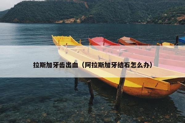 拉斯加牙齿出血（阿拉斯加牙结石怎么办）