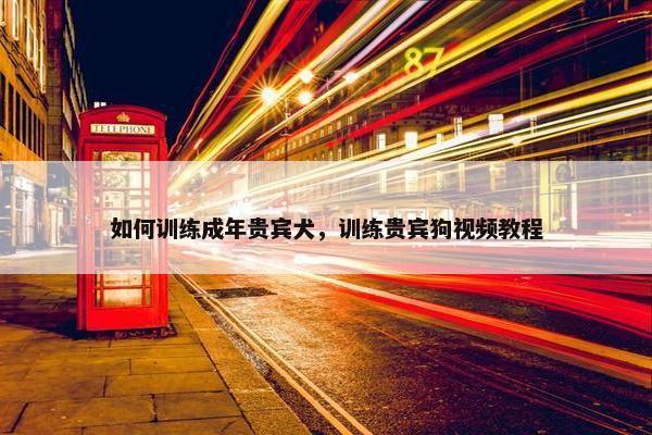 如何训练成年贵宾犬，训练贵宾狗视频教程