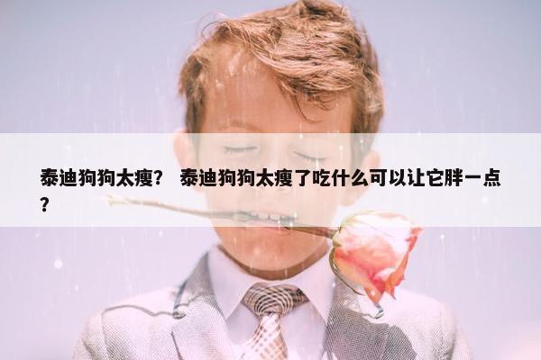 泰迪狗狗太瘦？ 泰迪狗狗太瘦了吃什么可以让它胖一点？