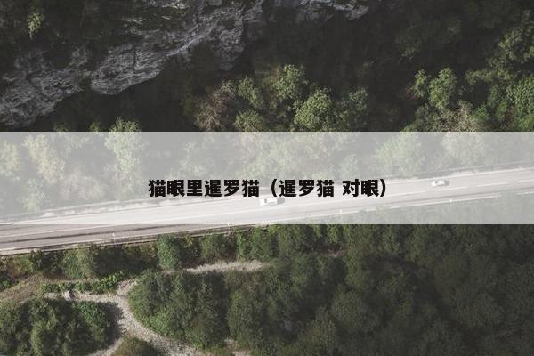 猫眼里暹罗猫（暹罗猫 对眼）