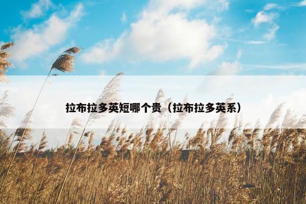 拉布拉多英短哪个贵（拉布拉多英系）