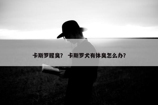 卡斯罗腥臭？ 卡斯罗犬有体臭怎么办？