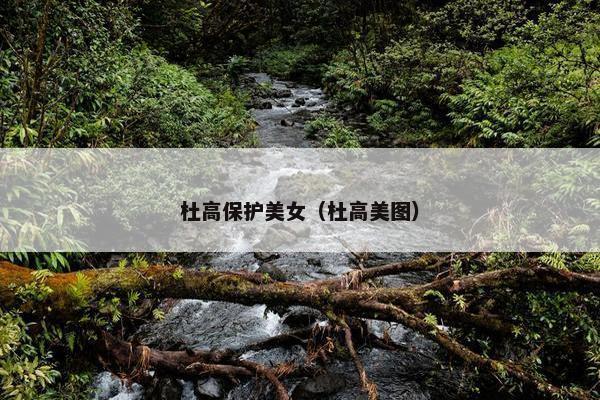 杜高保护美女（杜高美图）