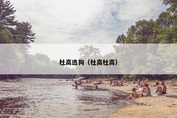 杜高选狗（杜高杜高）