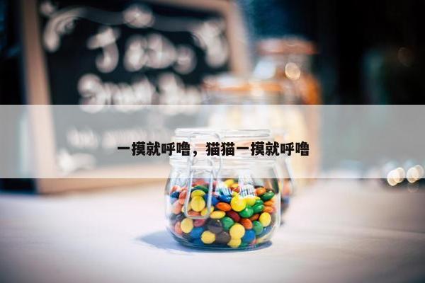 一摸就呼噜，猫猫一摸就呼噜