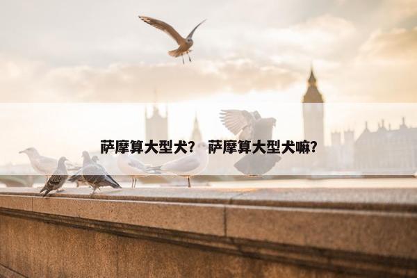 萨摩算大型犬？ 萨摩算大型犬嘛？