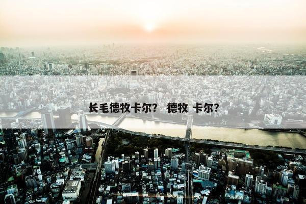 长毛德牧卡尔？ 德牧 卡尔？