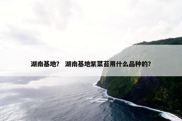 湖南基地？ 湖南基地紫菜苔用什么品种的？