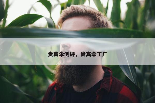 贵宾伞测评，贵宾伞工厂