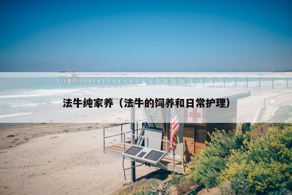 法牛纯家养（法牛的饲养和日常护理）