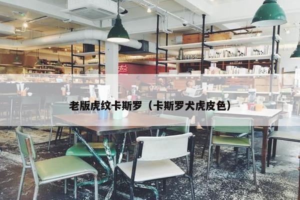 老版虎纹卡斯罗（卡斯罗犬虎皮色）