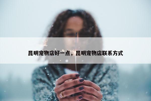 昆明宠物店好一点，昆明宠物店联系方式