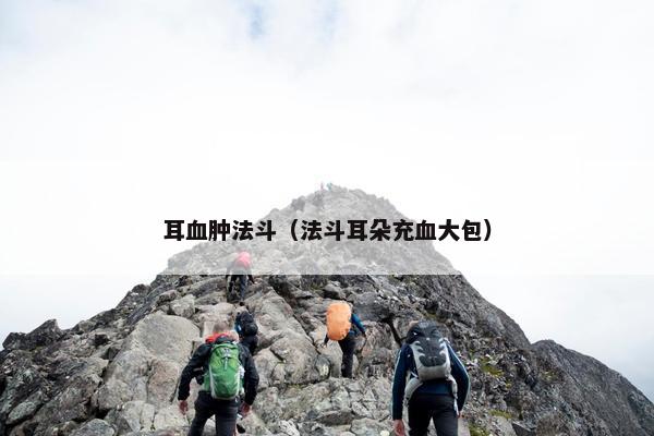 耳血肿法斗（法斗耳朵充血大包）