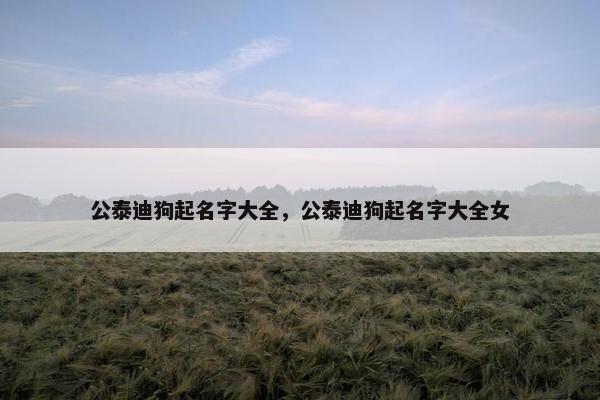 公泰迪狗起名字大全，公泰迪狗起名字大全女