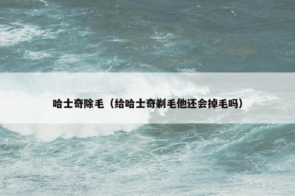 哈士奇除毛（给哈士奇剃毛他还会掉毛吗）