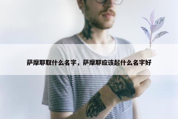 萨摩耶取什么名字，萨摩耶应该起什么名字好