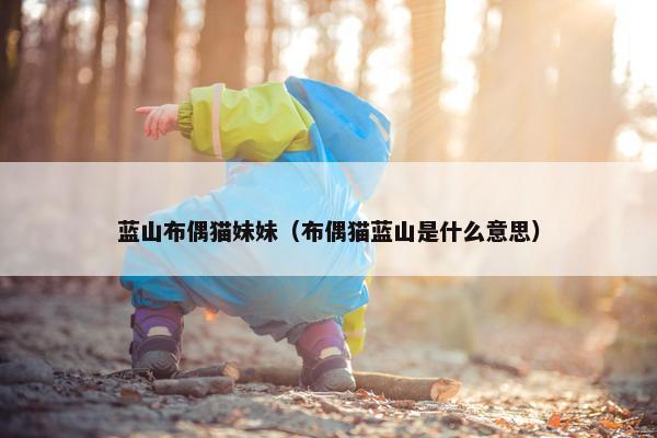 蓝山布偶猫妹妹（布偶猫蓝山是什么意思）