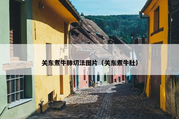 关东煮牛肺切法图片（关东煮牛肚）