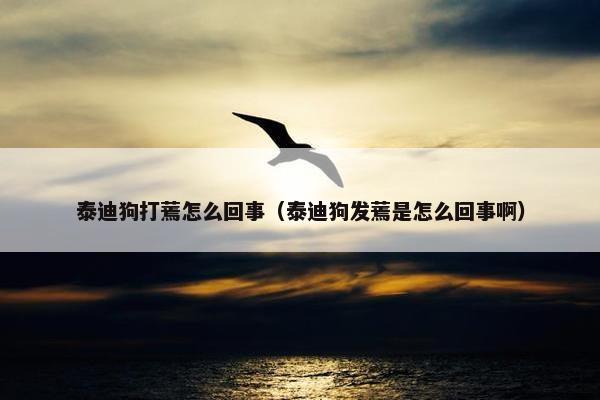 泰迪狗打蔫怎么回事（泰迪狗发蔫是怎么回事啊）