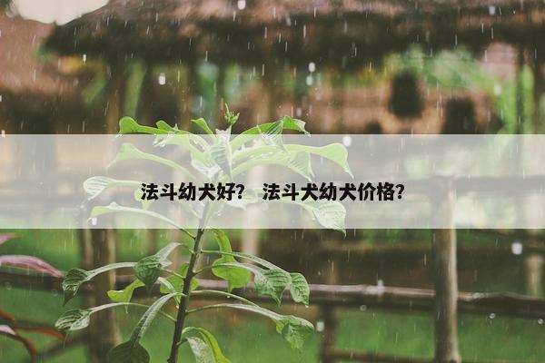 法斗幼犬好？ 法斗犬幼犬价格？